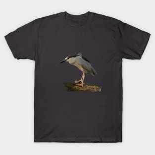 ‘Auku’u or black-crowned night heron T-Shirt